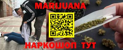 крисы Ставрополь