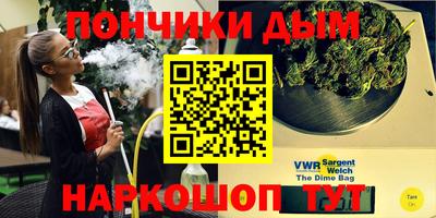 индика Славгород